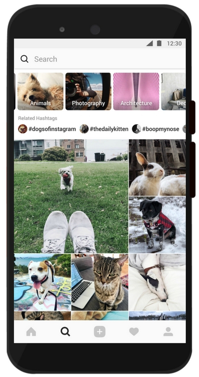 print do novo feed explorar do instagram