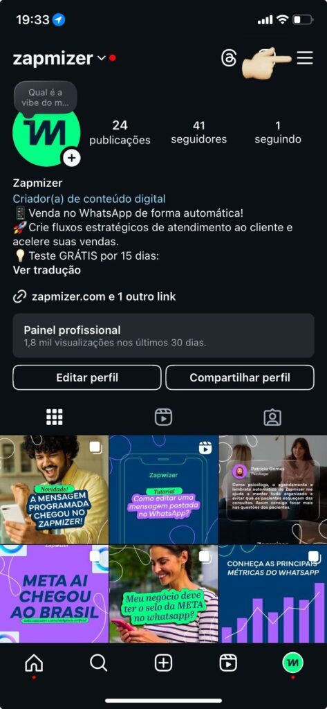 Print da tela do Instagram do perfil do Zapmizer.